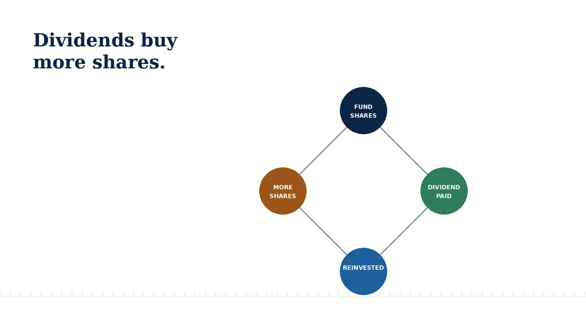 Loop diagram showing dividends being reinvested into additional fund shares